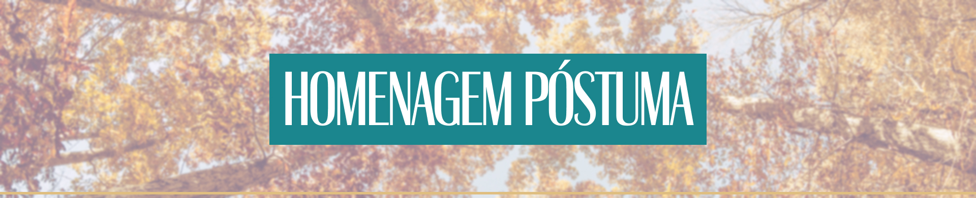 Homenagem